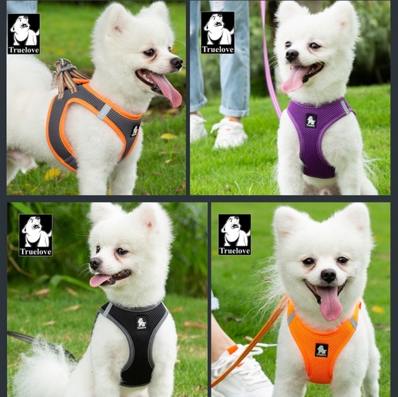 Dog vest harness with leash set made with breathable air mesh. FOUR Color - Picture 3 of 3